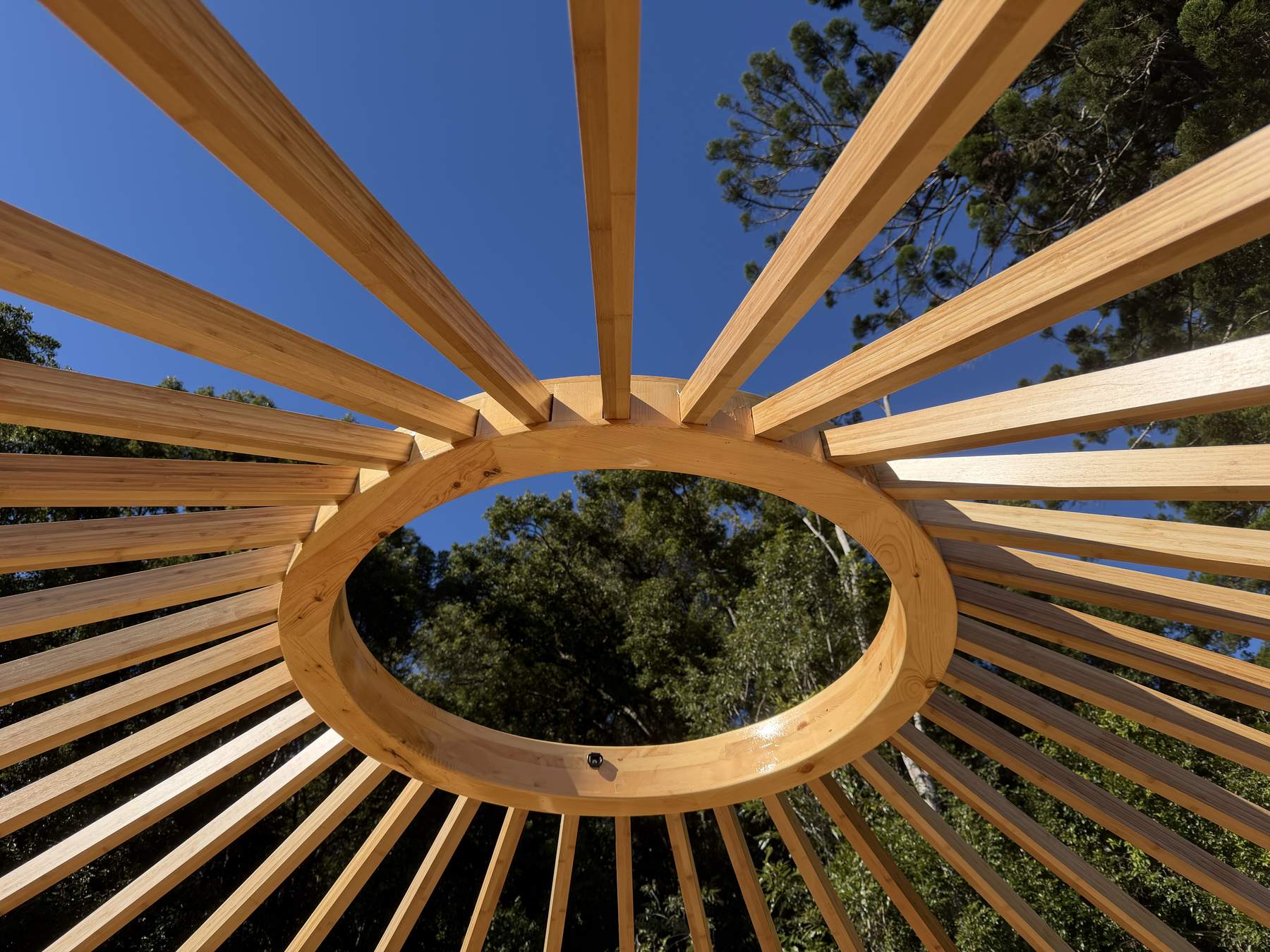 Bamboo rafters and timber compression ring against the sky